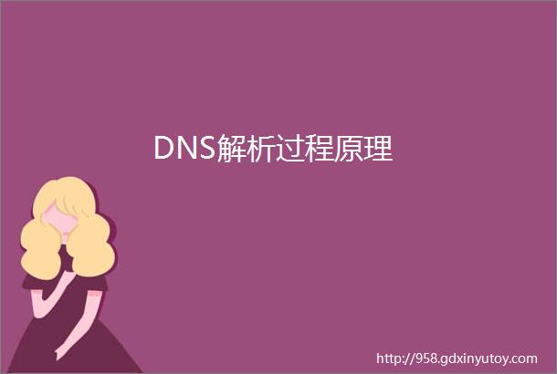 DNS解析过程原理
